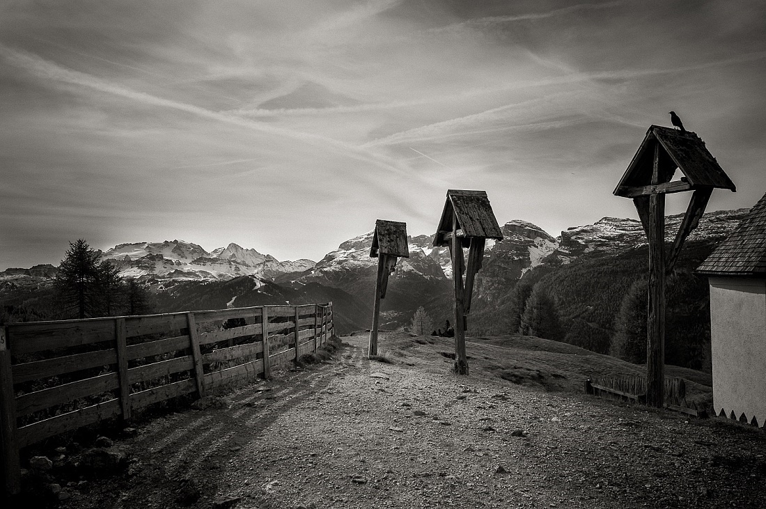 20131019-_wel4461